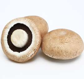 全年供应新鲜有机牛排菇褐蘑菇