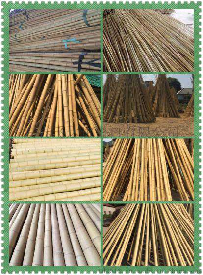 FD-161028大量供应园艺建筑产品洗白竹竿