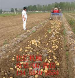 佳汇大量出口：土豆收获机，挖土豆的机子，土豆收获机价格，地瓜收获机