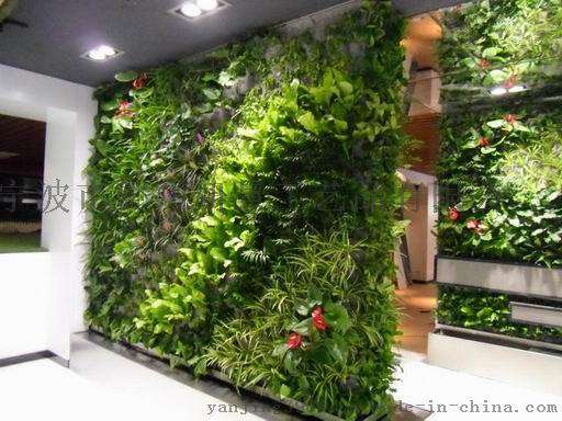 拉萨仿真植物墙 西宁墙面绿化银川植物墙生产西安仿真绿植墙 贵阳仿真绿篱墙生产