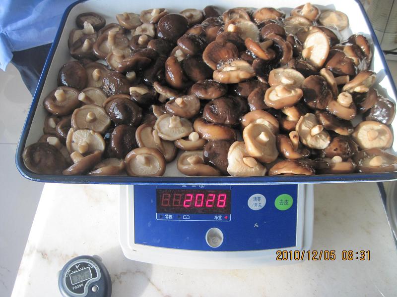 鲜香菇罐头（A10）